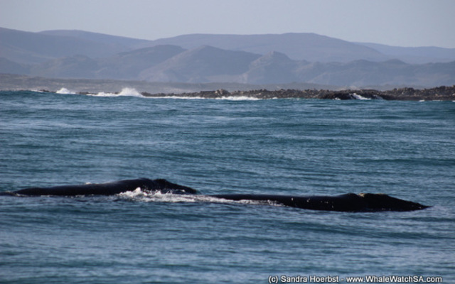 1_20170629_DC_Trip1_SHoerbst_IMG_51_1498826736