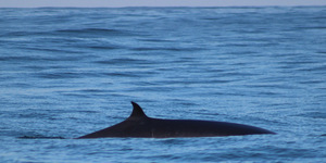 1_20170629_DC_Trip1_SHoerbst_IMG_84_1498826737