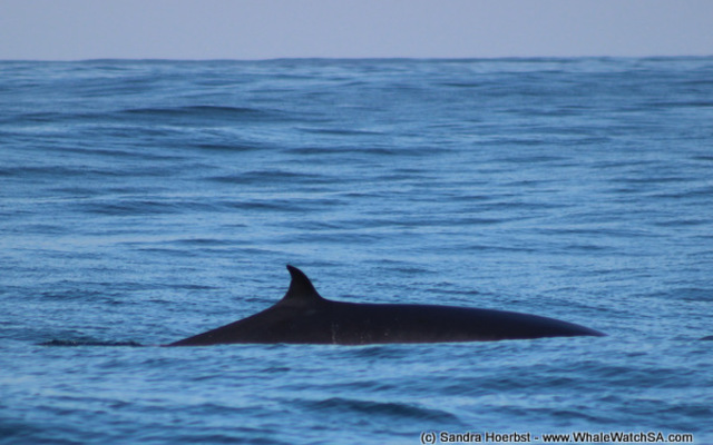 1_20170629_DC_Trip1_SHoerbst_IMG_84_1498826737