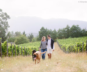 5 Great Stops in Grabouw