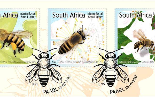 PosseÃ«ls moet nou die boodskap van heuningbye wat gevaar loop om te verdwyn, wÃªreldwyd versprei.