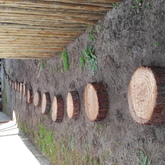 Elephant Feet - Garden Goodies