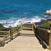 CCA Treated Pole and Laths Hermanus