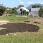 New garden New garden