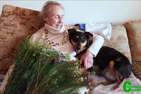 GansbaaiBietoubosStigterslidVier91_1500626195