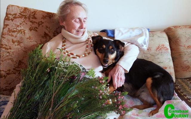 GansbaaiBietoubosStigterslidVier91_1500626195