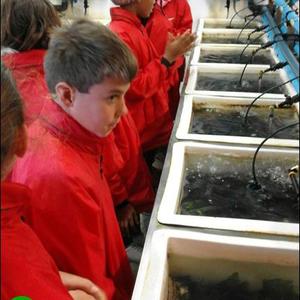 Leaners from Paul Greyling Primary School in Vishoek, were amazed by the breeding of abalone at I&J Abalone Farm at Dangerpoint where Dirkie Kotze showed them around.