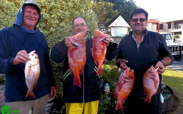 Die week wat verby is was die bote nogal produktief en Albert Potgieter, Mario Seegers en JP Steenekamp het hulle kant gebring met mooi silwervisse en romanne.
