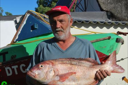 Nico van Eeden van Gansbaai het goeie rede om breÃ« bors rond te stap. Dit is nie aldag wat â€˜n enorme rooi steenbras van 5.8kg boot toe getrek word nie. Nico het dit vanaf sy boot, C-Rot op Dinsdag, 11 Julie, sowat 3 seemyl vanaf die punt, met sardyn as aas reggekry.