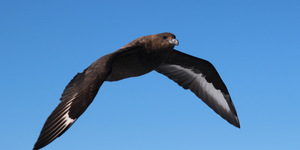 1_20170723_DC_Trip2_SHoerbst_IMG_01_1500899175