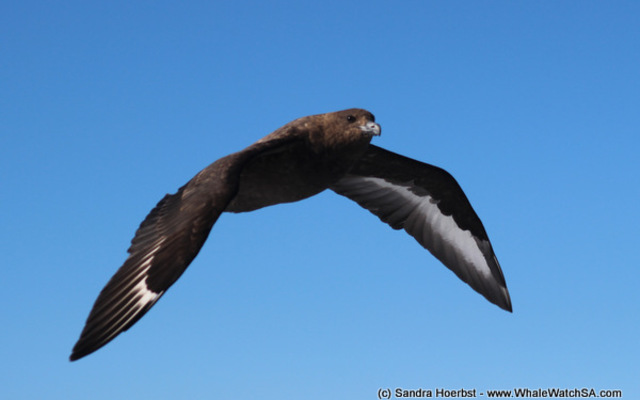 1_20170723_DC_Trip2_SHoerbst_IMG_01_1500899175