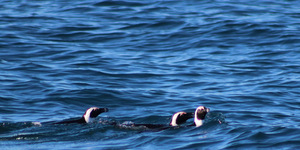 1_20170723_DC_Trip2_SHoerbst_IMG_20_1500899174