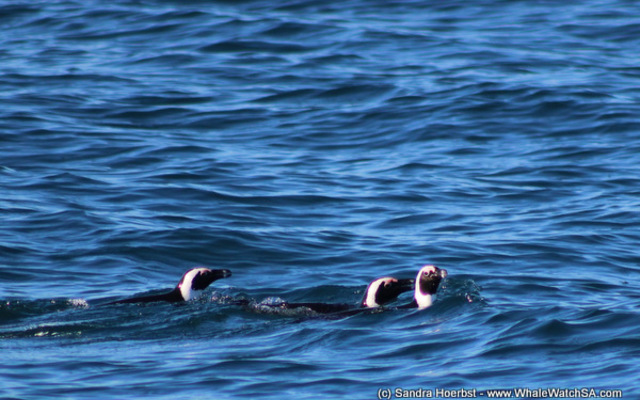 1_20170723_DC_Trip2_SHoerbst_IMG_20_1500899174