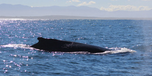 1_20170723_DC_Trip2_SHoerbst_IMG_26_1500899173