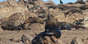 1_20170723_DC_Trip2_SHoerbst_IMG_76_1500899176