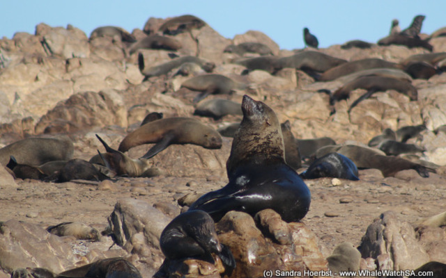 1_20170723_DC_Trip2_SHoerbst_IMG_76_1500899176