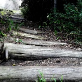 Poles and Laths for natural stairway
