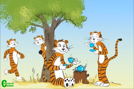 GansbaaiTeaForTigers_1501230132