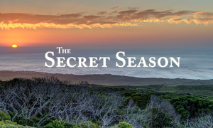 Grootbos Secret Season (Part 3)