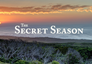 Grootbos Secret Season (Part 3)