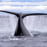 This amazing image was captured by our lovely guests from Juju.