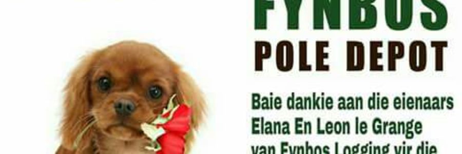 IMG_20170802_WA0001_1501762637