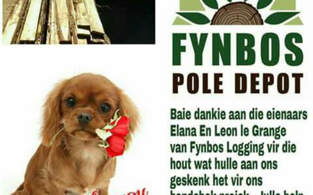 IMG_20170802_WA0001_1501762637