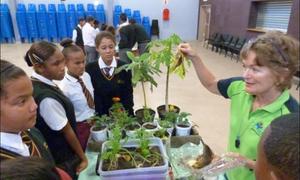 Klem op gesonder eetgewoontes vir leerders