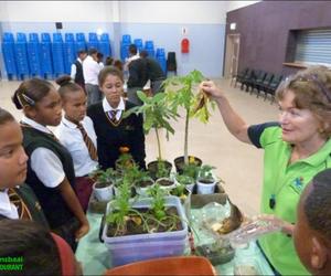 Klem op gesonder eetgewoontes vir leerders