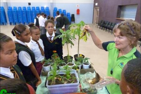 Dr Pat Miller het leerders van Gansbaai Academia van praktiese wenke voorsien oor hoe maklik dit is om groente tuis in herwinbare houers te kweek.