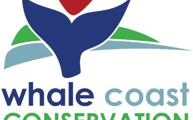 whale_coast_1501860402