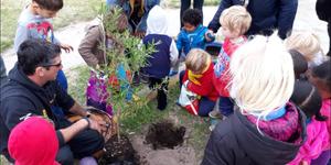 Nuuskierige Cool Kidz kleuters bekyk die plant van â€˜n boom op hul terrein, wat â€˜n inisiatief van Doulene Els (Gansbaai Toerisme) was.