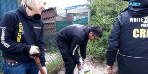 Gansbaai Toerisme het in samewerking met White Shark Projects vir die plant van bome gereÃ«l. Hier was dit Rainbow Kids kleuterskool in Beverley Hills se beurt.