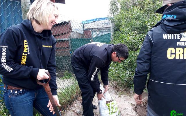 Gansbaai Toerisme het in samewerking met White Shark Projects vir die plant van bome gereÃ«l. Hier was dit Rainbow Kids kleuterskool in Beverley Hills se beurt.