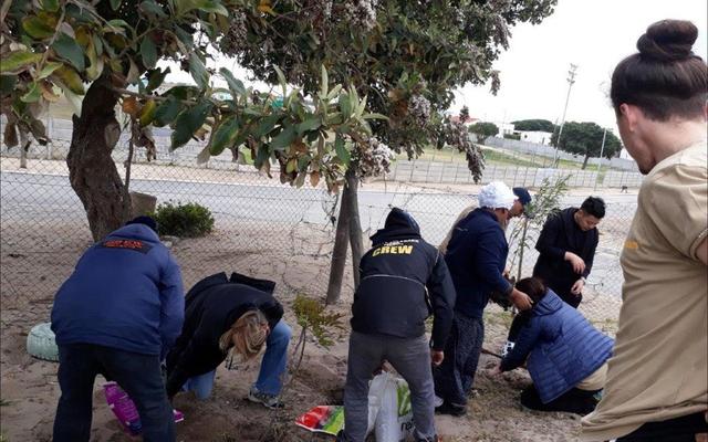 Masakhane CrÃ©che se bome wat deur Gansbaai Toerisme gereÃ«l is word hier deur White Shark Projects geplant.