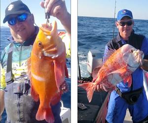 Overberg neem deel aan WP-liga