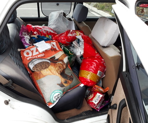 Mandela Day 18 July 2017