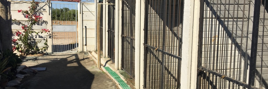 Current kennels