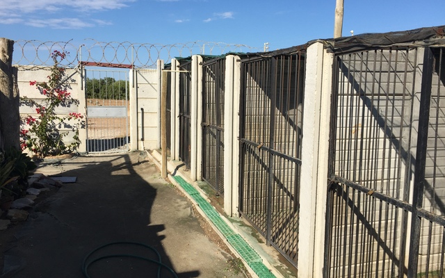 Current kennels
