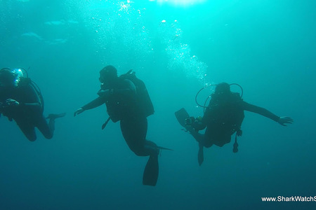 Mako_jpeg_1502355104