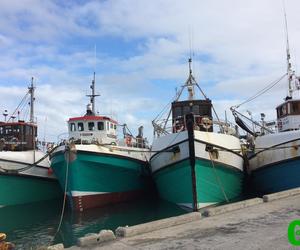Of trawling and trawlers...
