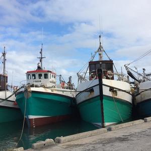 Four of the local pelagic trawlers at their moorage in Gansbaai New Harbour: the Kolgans, Berggans, Silver Snapper and Bella Prima biting at the anchor to get to sea and do what they do best â€¦ trawl.