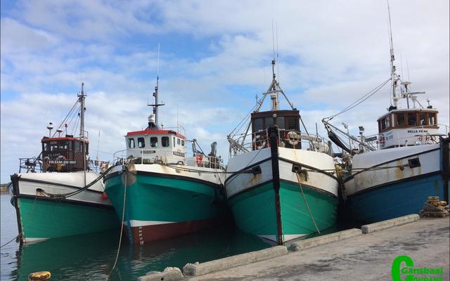 Four of the local pelagic trawlers at their moorage in Gansbaai New Harbour: the Kolgans, Berggans, Silver Snapper and Bella Prima biting at the anchor to get to sea and do what they do best â€¦ trawl.
