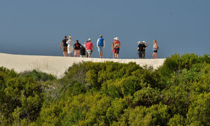 Whale watching wonderland at De Hoop