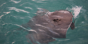 1_20170829_SF_Trip1_TRogers_IMG_71_1504083721