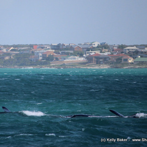 1_20170829_SF_Trip2_KBaker_IMG_09_1504083703