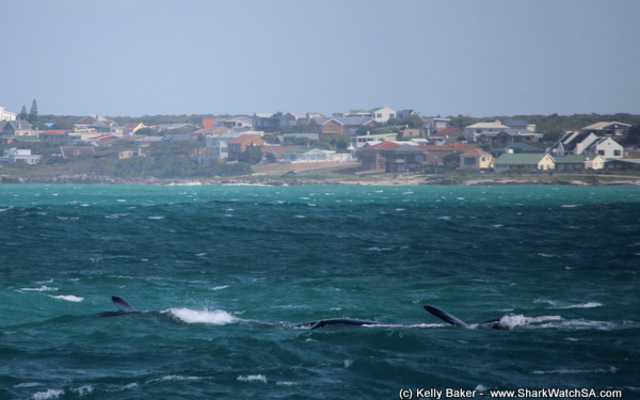 1_20170829_SF_Trip2_KBaker_IMG_09_1504083703