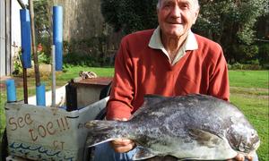 Probeer sÃ³ vir 'n galjoen