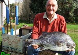 Probeer sÃ³ vir 'n galjoen