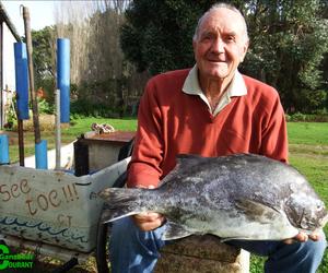 Probeer sÃ³ vir 'n galjoen